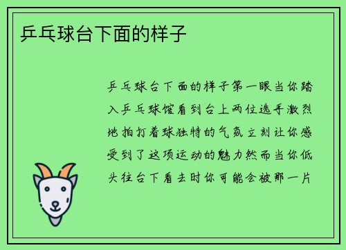 乒乓球台下面的样子