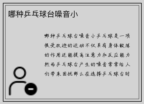 哪种乒乓球台噪音小